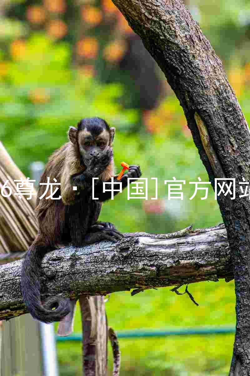 z6尊龙·[中国]官方网站