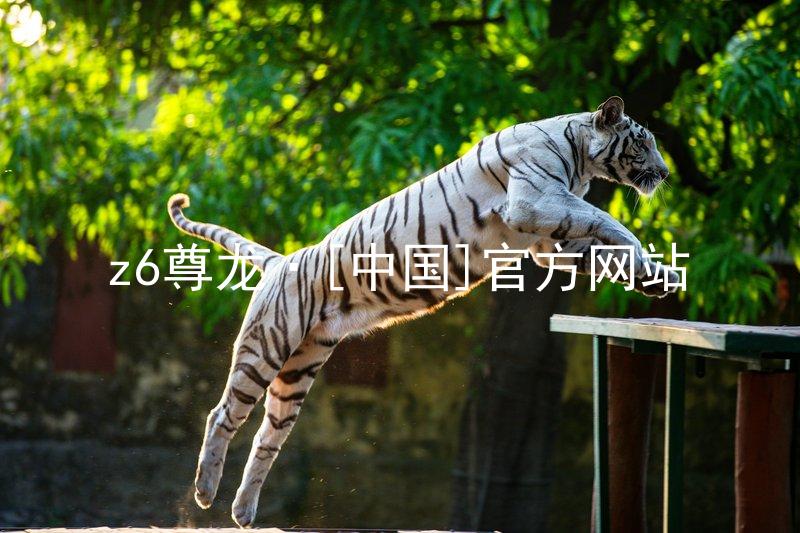 z6尊龙·[中国]官方网站